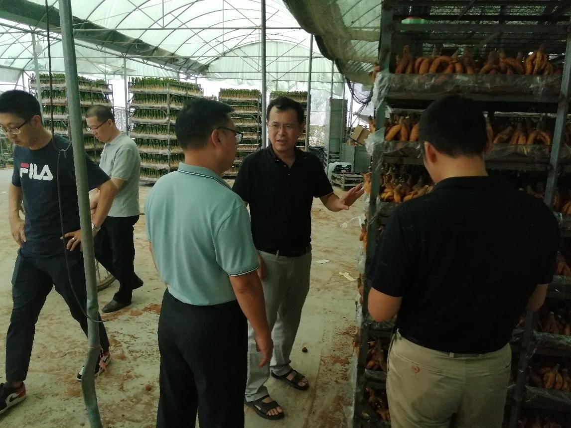 Officers care for Local Standardization for Plants Export by Kinofarm
